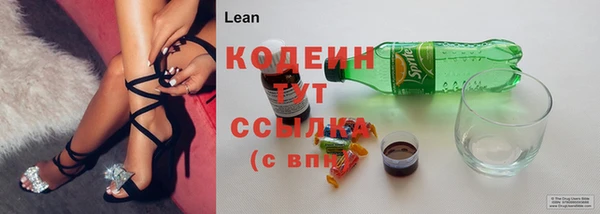PSILOCYBIN Гусиноозёрск