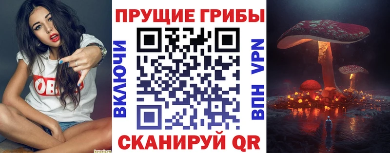 Купить закладки  Собинка  Псилоцибиновые грибы GOLDEN TEACHER 